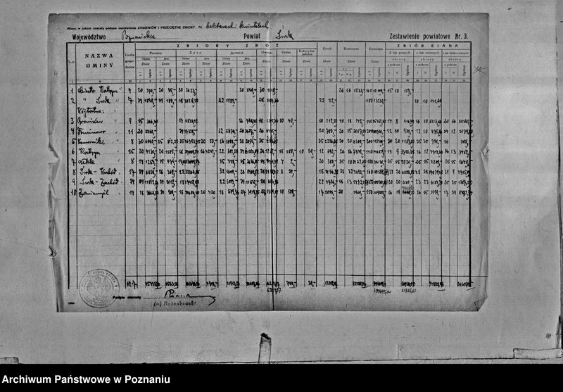Obraz 6 z jednostki "Statystyka produkcji rolnej - zestawienie powiatowe - Środa"