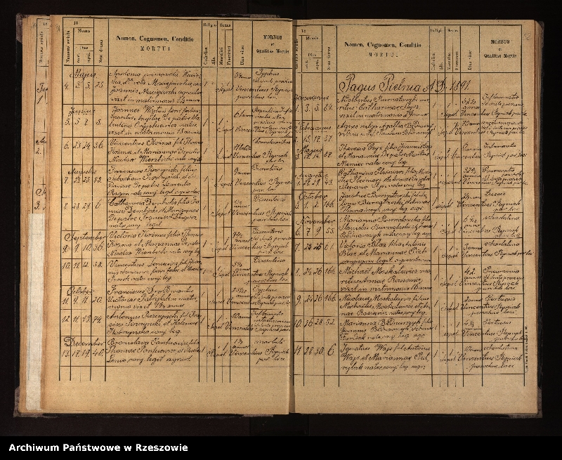 image.from.unit.number "Księga urodzeń, małżeństw i zgonów dla miejscowości Nowotaniec, Nadolany, Nagórzany, Pielnia, Wola Sękowa, Wola Jaworowa, Puławy"