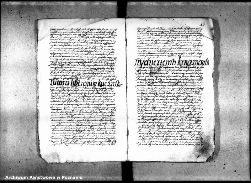 Obraz 16 z jednostki "Inscriptiones [inducta]"