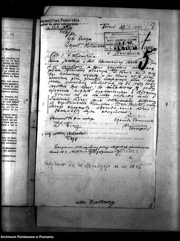 Obraz 12 z jednostki "Nosacizna - Kartuzy"