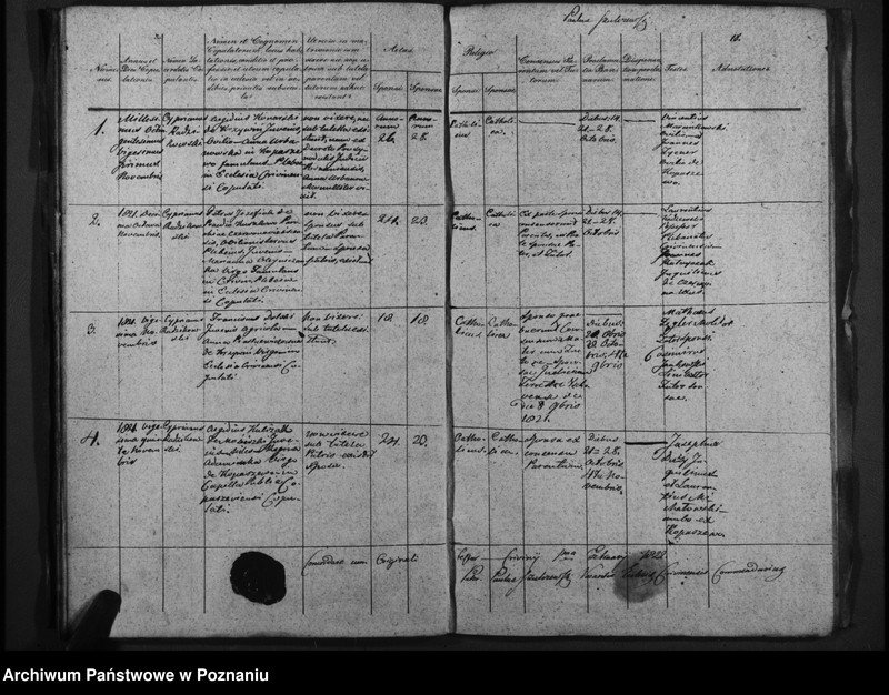 Obraz 15 z jednostki "Duplicatum baptisatorum, copulatorum, mortuorum"