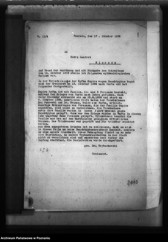 Obraz 5 z jednostki "Typhus"