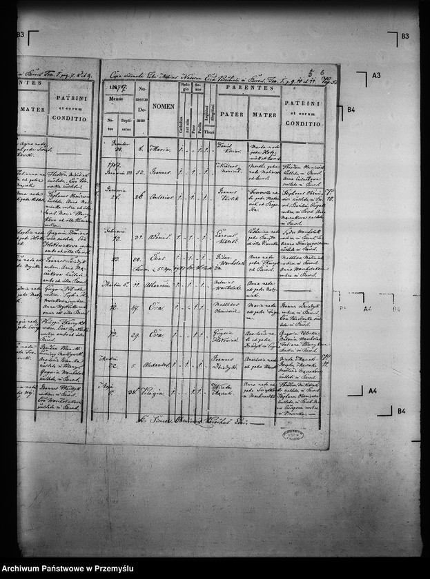Obraz 10 z jednostki "[Kopie ksiąg metrykalnych parafii Berest z filią Polany (dekanat Grybów)]"