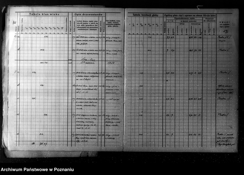 Obraz 11 z jednostki "/Plan urządzania gospodarstwa leśnego dla lasu majątku Turew powiatu kościańskiego 1933-1943/"