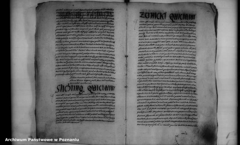 Obraz 12 z jednostki "Inscriptiones [inducta]"