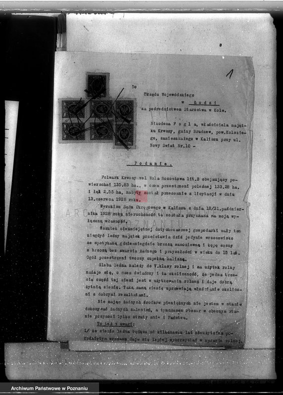 Obraz 5 z jednostki "Majątek Krwony powiat kolski /nadzór nad gospodarką leśną/"