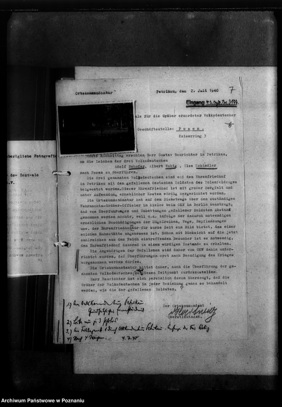 Obraz 11 z jednostki "Gräber in Petrikau (Piotrków Trybunalski)"