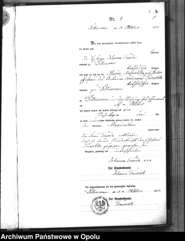 Obraz z jednostki "Geburts-Neben-Register Standesamtsbezirk Dittmerau 1/10 bis 31/12.1874"