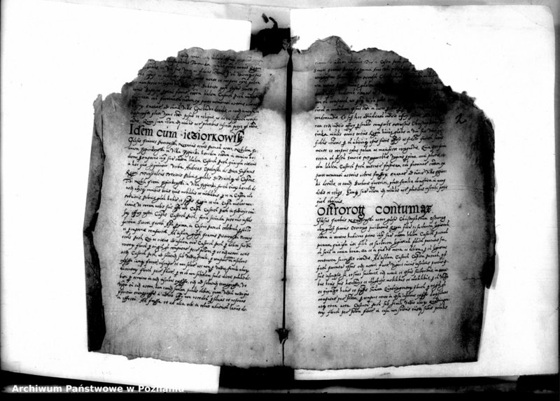 Obraz 5 z jednostki "Decreta officii [inducta]"