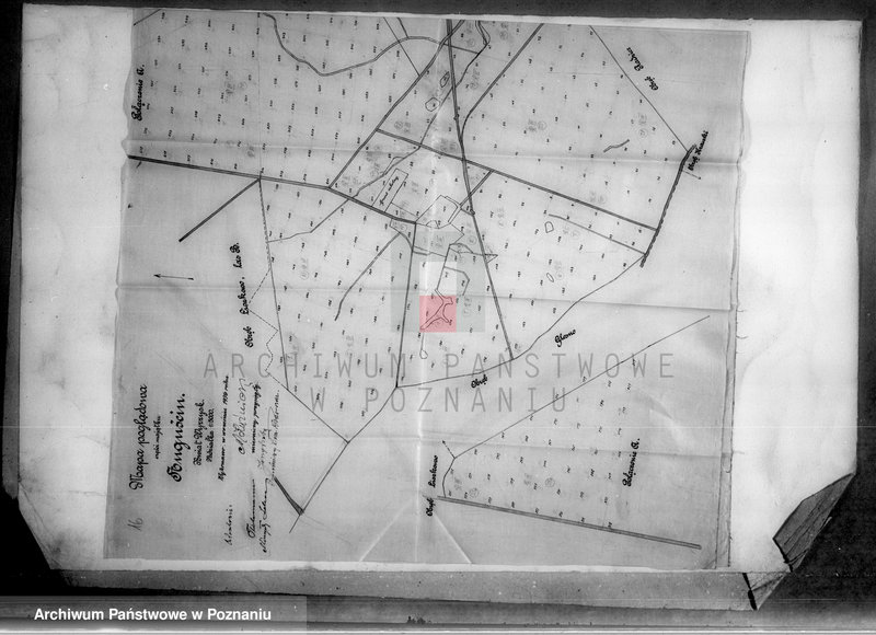 Obraz 20 z jednostki "Operat szacunkowy gruntów przymusowo-wykupionych z majątku Liszkowo powiatu wyrzyskiego"
