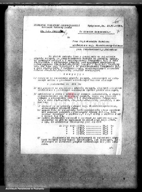 Obraz 11 z jednostki "Majątek Wierzbiczany w powiecie inowrocławskim /nadzór nad gospodarką leśną"