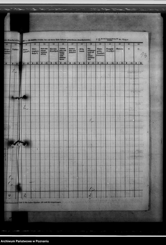 Obraz 17 z jednostki "Nachweisungen von übertragbaren Krankheiten"