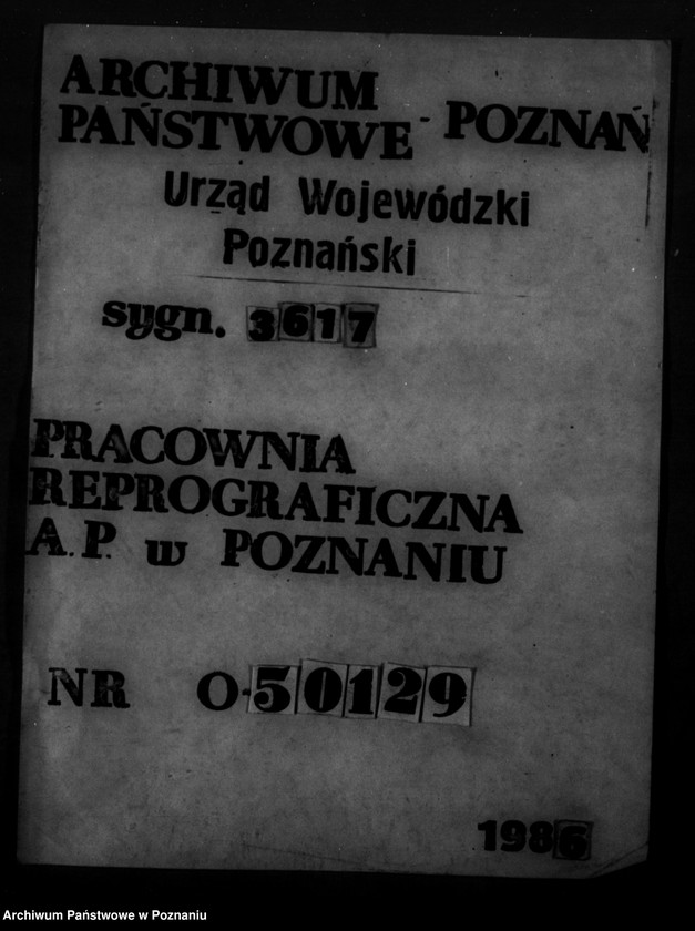 Obraz 13 z jednostki "/Majętność leśna Ruchowo powiat mogileński/"