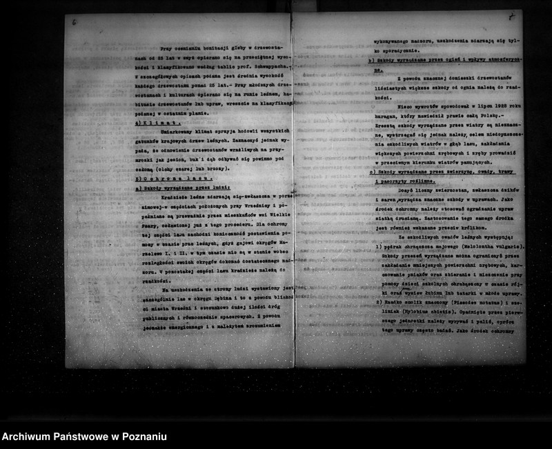 Obraz 8 z jednostki "Ogólny opis lasu majętności Września (plan cięć i plan urządzenia gospodarstwa leśnego)"