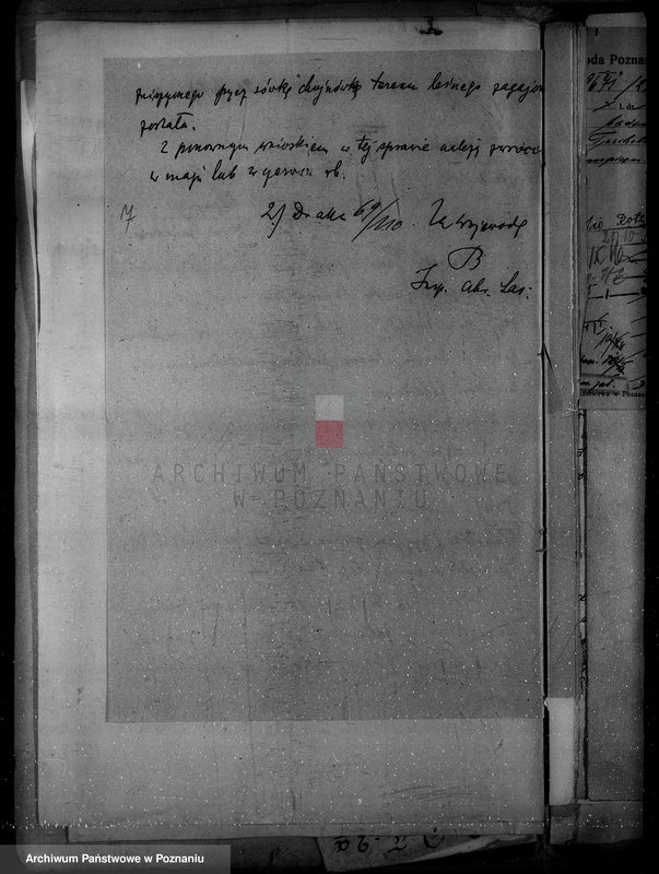 Obraz 11 z jednostki "Nadzór nad lasami/ majątku Klempicz powiatu czarnkowskiego"