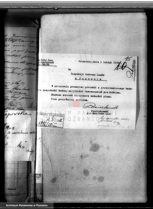 Obraz 19 z jednostki "Nadzór nad gospodarką w lasach majętności Czerwona-Wieś powiat kościański"