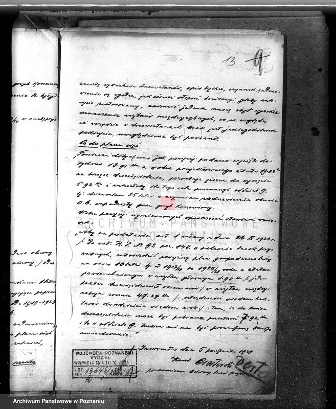 Obraz 17 z jednostki "Majętność leśna w Mielnie w powiecie gnieźnieńskim"