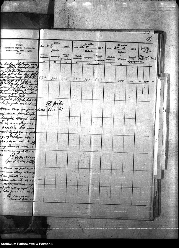 Obraz 19 z jednostki "Nosacizna - Leszno"