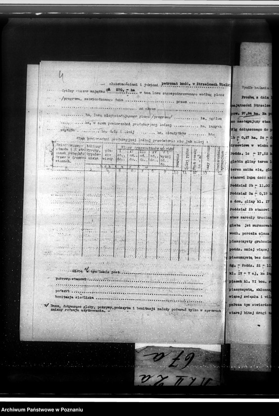 Obraz 8 z jednostki "Las majątku Strzelce-Wielkie w powiecie gostyńskim"