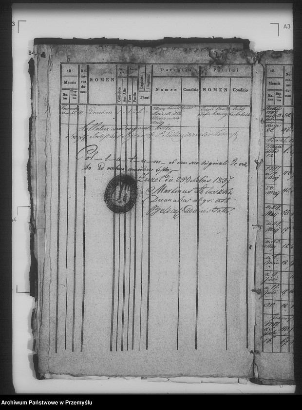 Obraz 11 z jednostki "[Kopie ksiąg metrykalnych parafii Żabcze Murowane z filią Bezejów (dekanat Bełz)]"