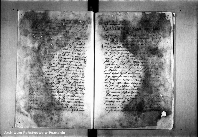 Obraz 11 z jednostki "Decreta officii [inducta]"