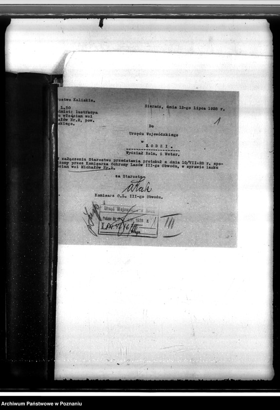 Obraz 5 z jednostki "Gmina Kościelec powiat kaliski /sprawy leśne/"