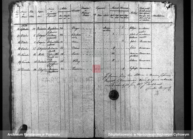 image.from.unit.number "Duplicatum baptisatorum, copulatorum, mortuorum"