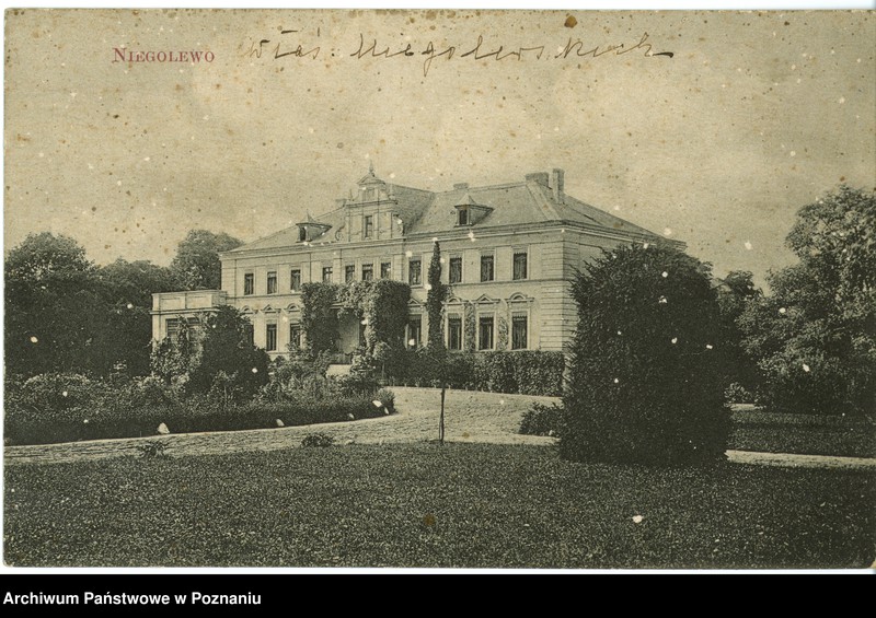 Obraz 1 z jednostki "Niegolewo - pałac Niegolewskich"