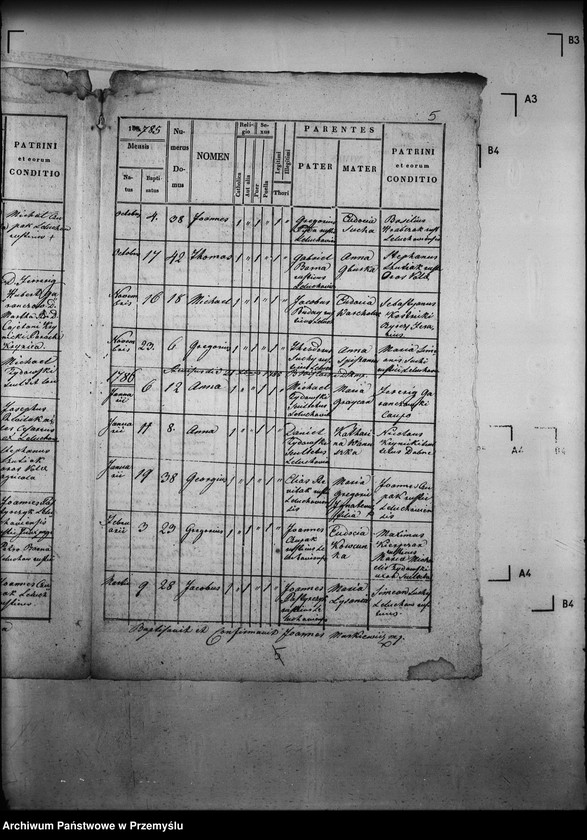 image.from.unit.number "[Kopie ksiąg metrykalnych parafii Leluchów z filią Dubne (dekanat Muszyna)]"