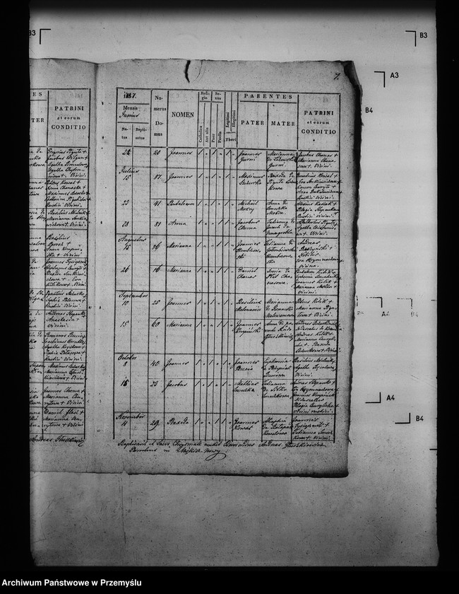 image.from.unit.number "[Kopie ksiąg metrykalnych parafii Miękisz Nowy z filiami Miękisz Stary i Tuchla (dekanat Jarosław)]"