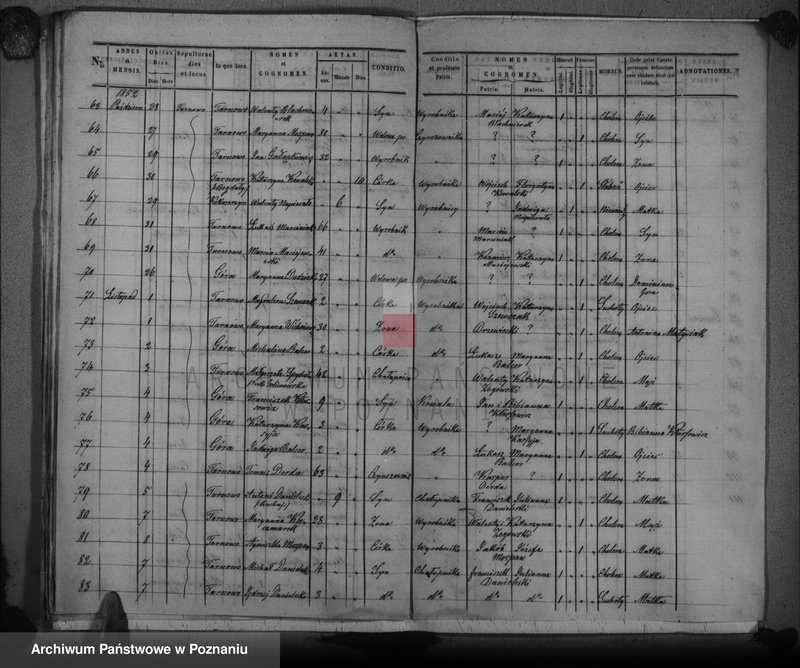 image.from.unit.number "Duplikat zmarłych"