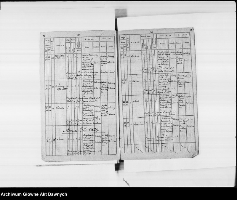 image.from.unit.number "Parafia: Podkamień Brodzki. Dekanat: Brody. Księga metrykalna urodzeń tylko dla wsi Czernica."