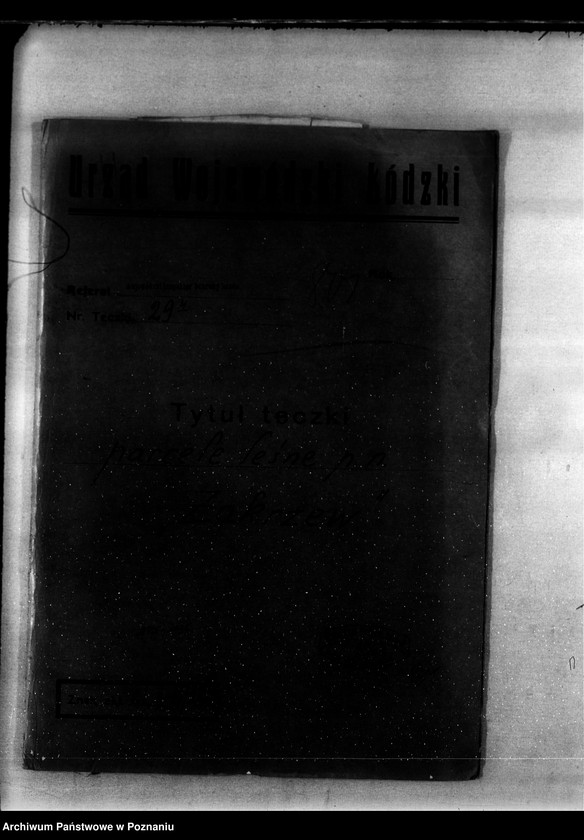 Obraz 4 z jednostki "Parcele leśne pod nazwą,,Zakrzew" powiat turecki"