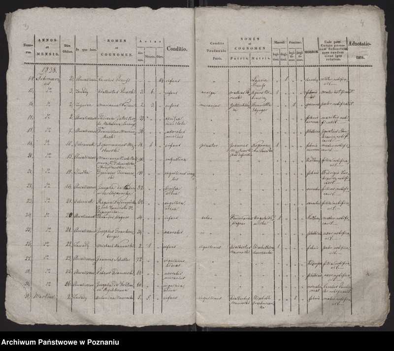 Obraz 4 z jednostki "Spis zgonów"