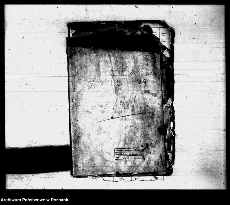 Obraz 19 z jednostki "Księga zgonów"