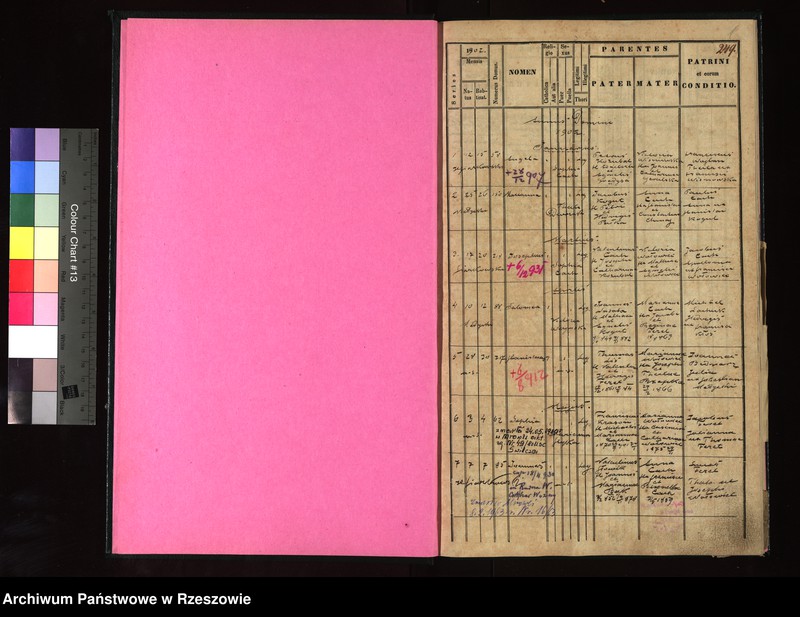 Obraz z jednostki "Księga urodzeń - Mrowla"
