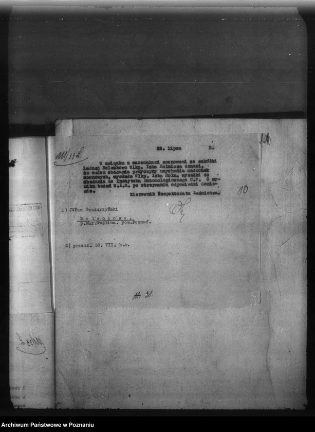 Obraz 14 z jednostki "Bolechowo powiat poznański /nadzór nad gospodarką leśną/"