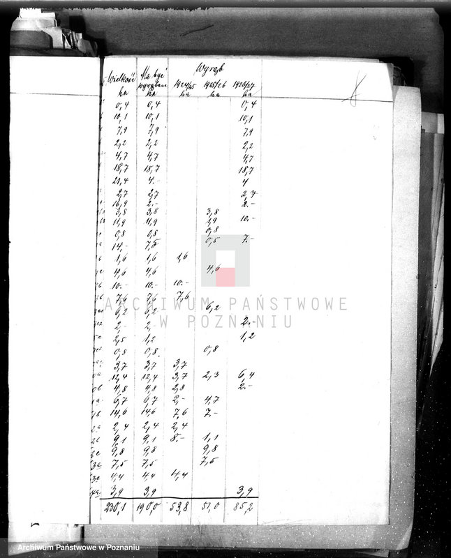 Obraz 16 z jednostki "Majętność leśna Oleśnica w powiecie chodzieskim"