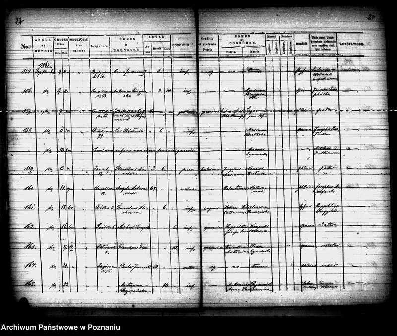Obraz 15 z jednostki "Księga zgonów"