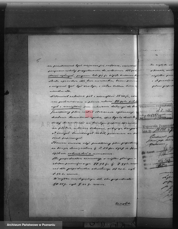 Obraz 9 z jednostki "Majętność leśna Możdzanów powiat ostrowski"