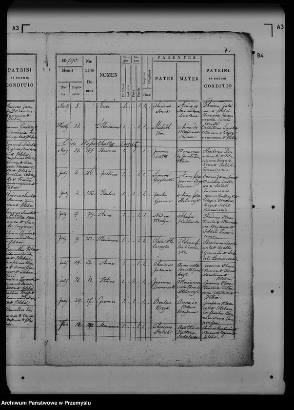 image.from.unit.number "[Kopie ksiąg metrykalnych parafii Żurawica z filiami Buszkowice, Buszkowiczki, Lipowica (dekanat Radymno)]"