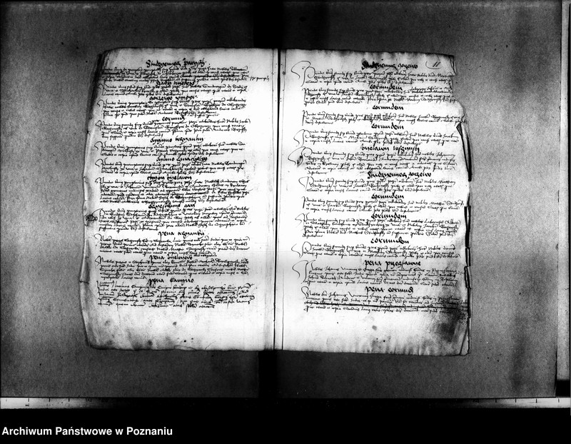 Obraz 14 z jednostki "Resignationes ,inscriptiones, relationes, decreta [protocollon]"