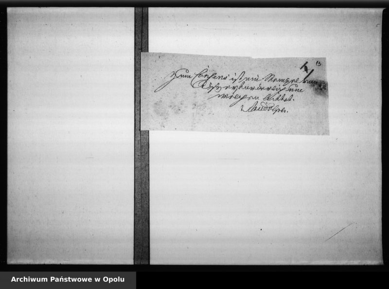 Obraz 13 z jednostki "Acta der Gemeinde zu Wilhelmsthal [Bolko] betreffend Gemeinde Angelegenheiten Vol. IV"