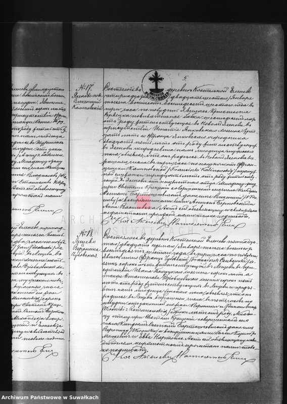 Obraz 13 z jednostki "Dublikat Elenevskago Prichoda s 1886 goda"