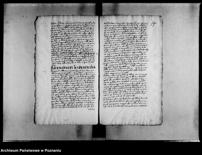 Obraz 17 z jednostki "Decreta [inducta]"