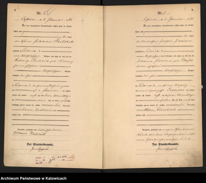 image.from.unit.number "Księga urodzeń T.1 nr 1-419"