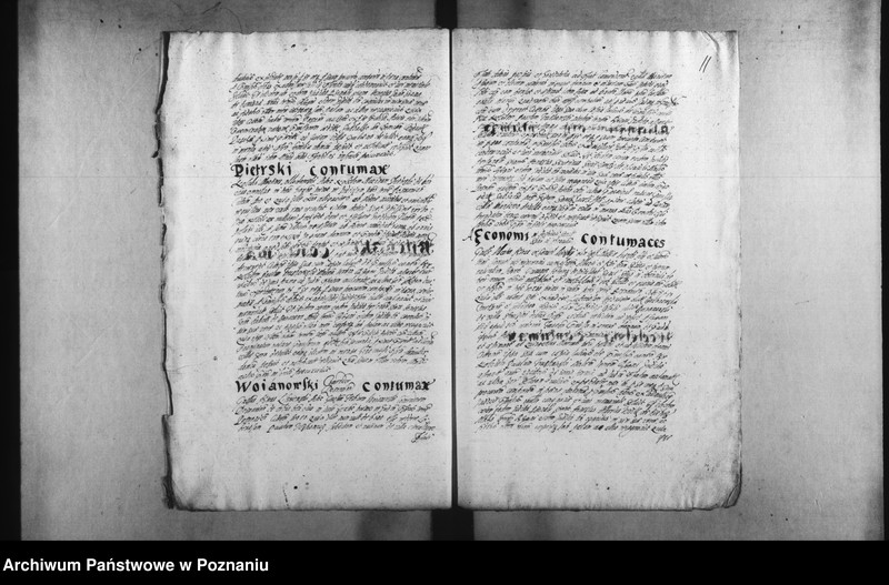 Obraz 14 z jednostki "Decreta [inducta]"