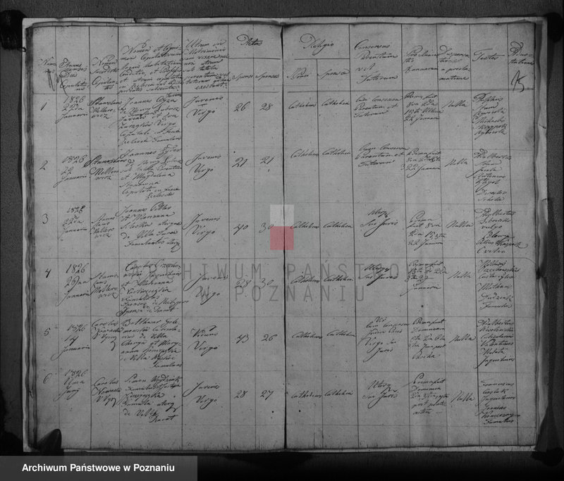 image.from.unit.number "Duplicat baptisatorum, copulatorum, mortuorum"