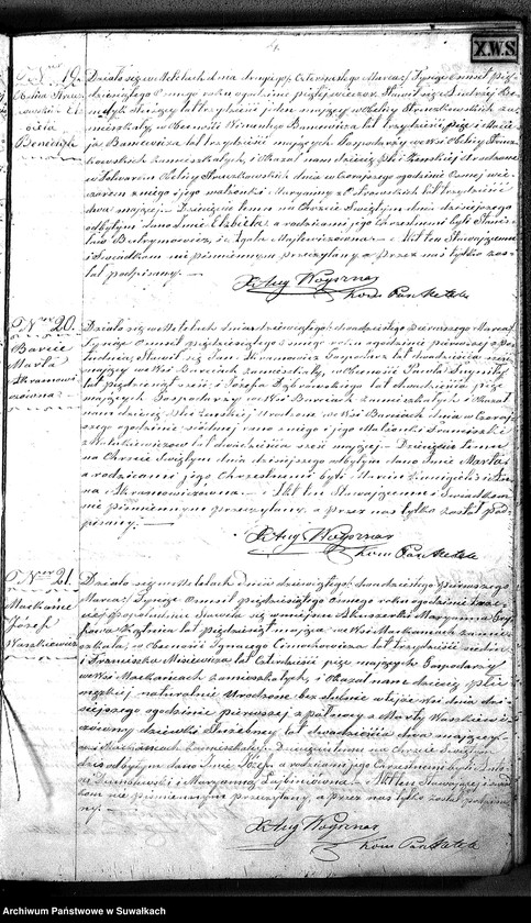 Obraz 12 z jednostki "D.L. P. Metel 1858"