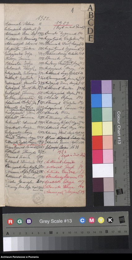 Obraz 3 z jednostki "Indeks urodzeń"